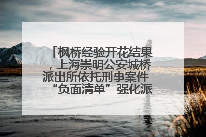枫桥经验开花结果，上海崇明公安城桥派出所依托刑事案件“负面清单”强化派出所“主防”