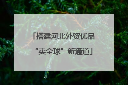 搭建河北外贸优品“卖全球”新通道
