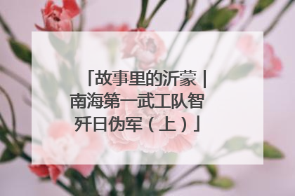 故事里的沂蒙｜南海第一武工队智歼日伪军（上）