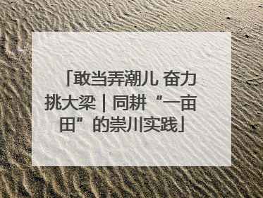 敢当弄潮儿 奋力挑大梁｜同耕“一亩田”的崇川实践