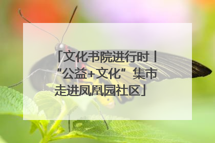 文化书院进行时丨“公益+文化”集市走进凤凰园社区