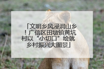 文明乡风浸润山乡！广信区田墩镇黄坑村以“小切口”绘就乡村振兴大图景