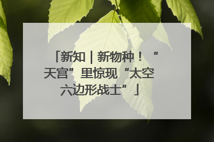 新知｜新物种！“天宫”里惊现“太空六边形战士”