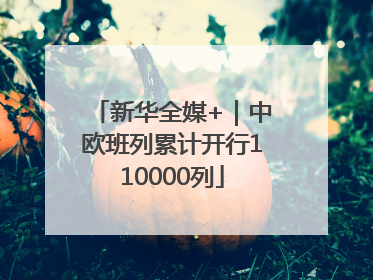 新华全媒+｜中欧班列累计开行110000列