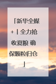 新华全媒+丨全力抢收夏粮 确保颗粒归仓