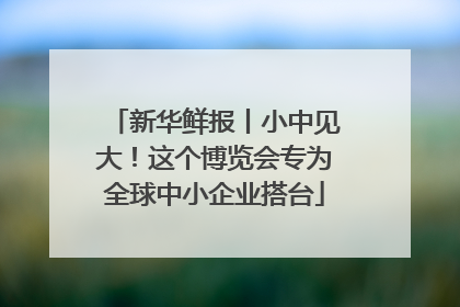 新华鲜报丨小中见大！这个博览会专为全球中小企业搭台