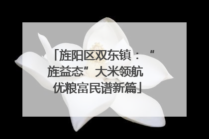旌阳区双东镇：“旌益态”大米领航 优粮富民谱新篇