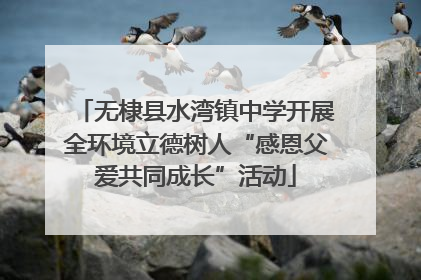 无棣县水湾镇中学开展全环境立德树人“感恩父爱共同成长”活动