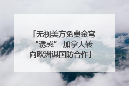 无视美方免费金穹“诱惑” 加拿大转向欧洲谋国防合作