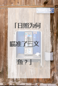 日照为何瞄准了三文鱼？
