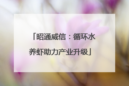 昭通威信：循环水养虾助力产业升级