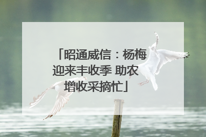 昭通威信：杨梅迎来丰收季 助农增收采摘忙