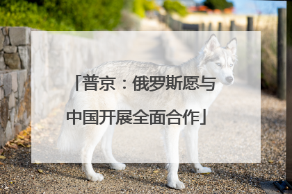 普京：俄罗斯愿与中国开展全面合作