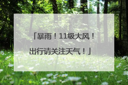 暴雨！11级大风！出行请关注天气！