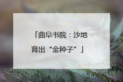 曲阜书院：沙地育出“金种子”