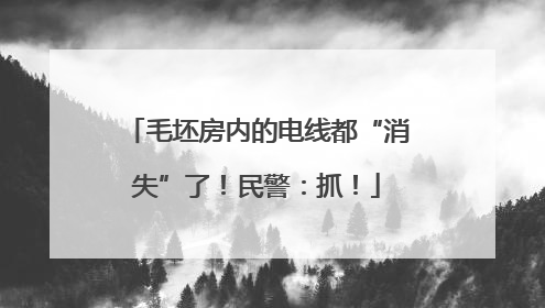 毛坯房内的电线都“消失”了！民警：抓！