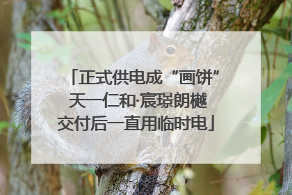 正式供电成“画饼” 天一仁和·宸璟朗樾交付后一直用临时电
