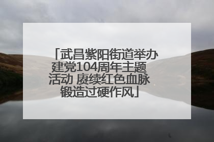 武昌紫阳街道举办建党104周年主题活动 赓续红色血脉锻造过硬作风