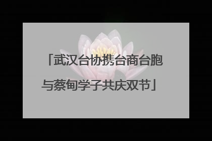 武汉台协携台商台胞与蔡甸学子共庆双节