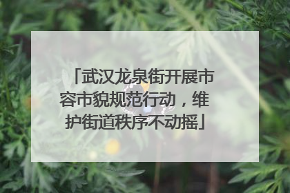 武汉龙泉街开展市容市貌规范行动，维护街道秩序不动摇