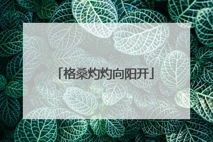 格桑灼灼向阳开