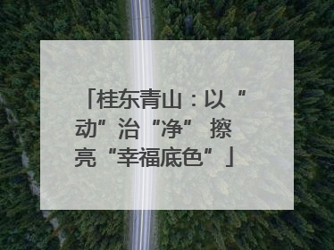桂东青山：以“动”治“净” 擦亮“幸福底色”