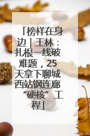 榜样在身边｜王林：扎根一线破难题，25天拿下聊城西站钢连廊“硬核”工程