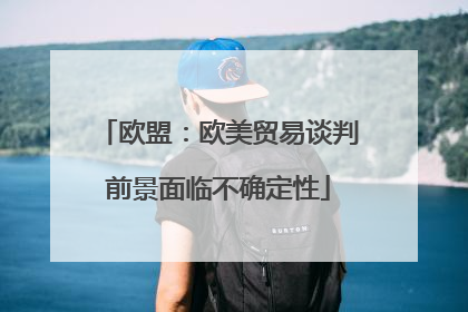 欧盟：欧美贸易谈判前景面临不确定性
