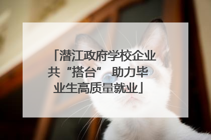 潜江政府学校企业共“搭台” 助力毕业生高质量就业