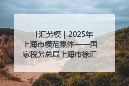 汇劳模｜2025年上海市模范集体——国家税务总局上海市徐汇区税务局第一税务所