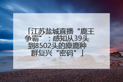 江苏盐城直播“鹿王争霸”：感知从39头到8502头的麋鹿种群复兴“密码”