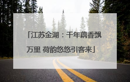 江苏金湖：千年藕香飘万里 荷韵悠悠引客来