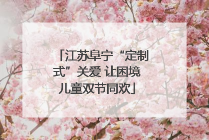 江苏阜宁“定制式”关爱 让困境儿童双节同欢