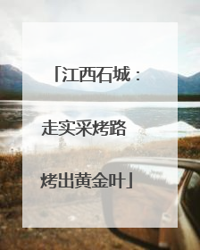 江西石城：走实采烤路 烤出黄金叶