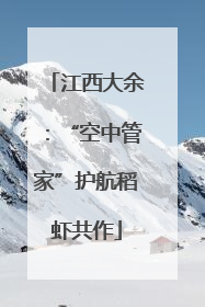 江西大余：“空中管家”护航稻虾共作