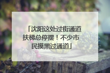 沈阳这处过街通道扶梯总停摆！不少市民摸黑过通道