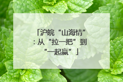 沪皖“山海情”：从“拉一把”到“一起赢”