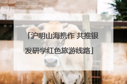 沪明山海携作 共推银发研学红色旅游线路