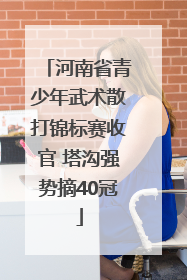 河南省青少年武术散打锦标赛收官 塔沟强势摘40冠