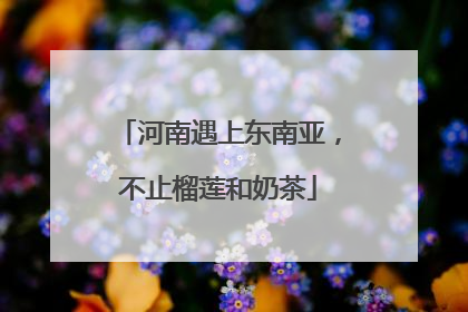 河南遇上东南亚，不止榴莲和奶茶