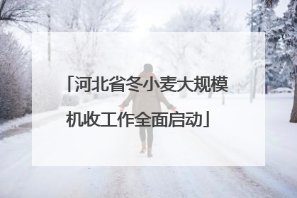 河北省冬小麦大规模机收工作全面启动