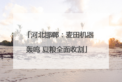河北邯郸：麦田机器轰鸣 夏粮全面收割