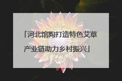 河北馆陶打造特色艾草产业链助力乡村振兴