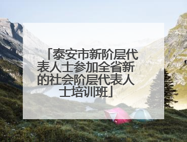 泰安市新阶层代表人士参加全省新的社会阶层代表人士培训班