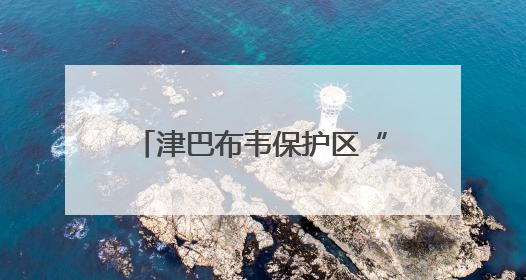 津巴布韦保护区“象满为患”，当局称将扑杀供居民食用