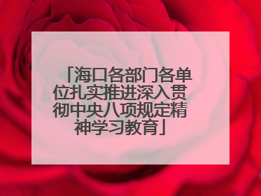海口各部门各单位扎实推进深入贯彻中央八项规定精神学习教育