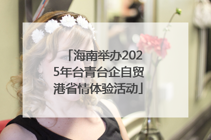 海南举办2025年台青台企自贸港省情体验活动