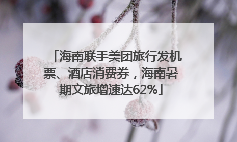 海南联手美团旅行发机票、酒店消费券，海南暑期文旅增速达62%
