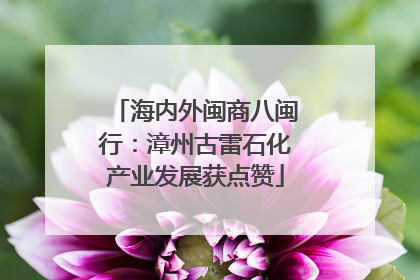 海内外闽商八闽行：漳州古雷石化产业发展获点赞