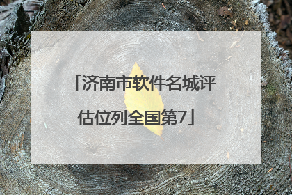 济南市软件名城评估位列全国第7